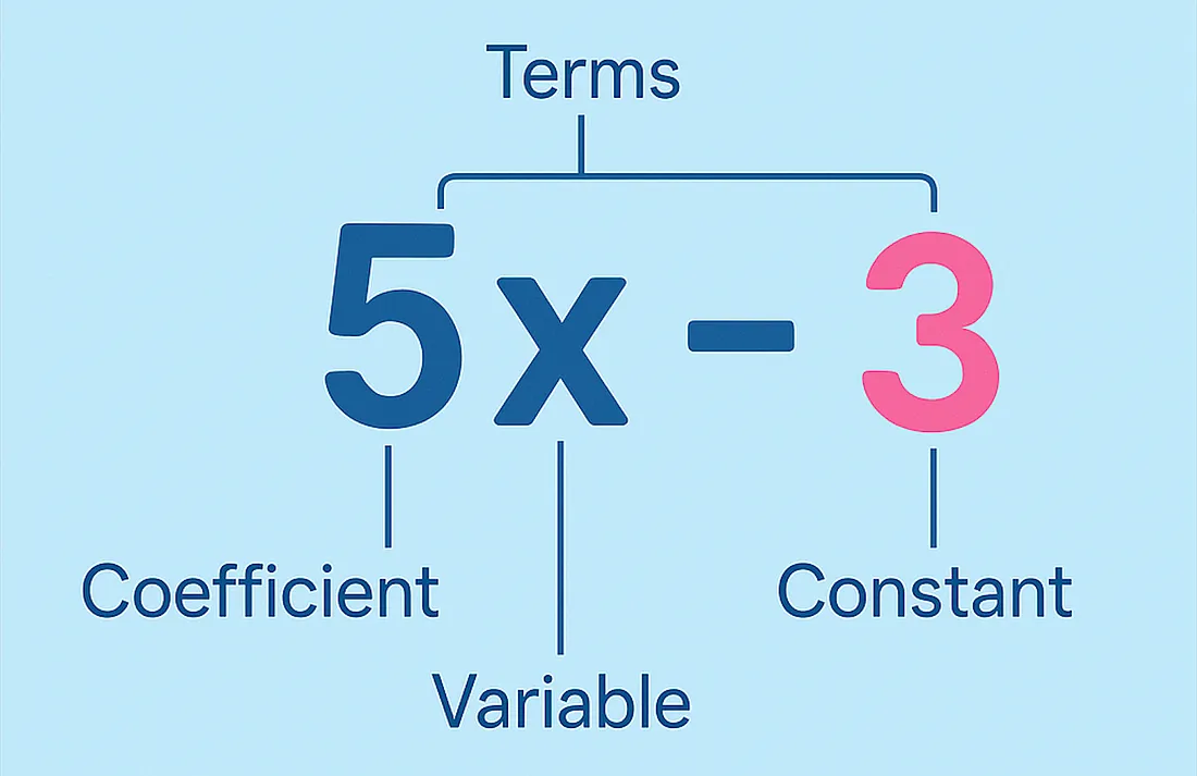 Variables and constants in algebra